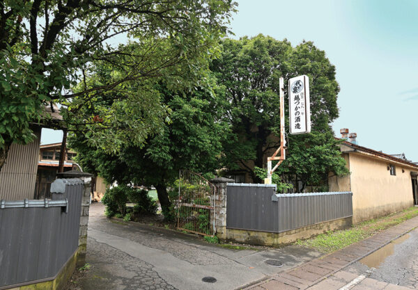 Niigata Sake Travel Recommendations <Linha do Rio Agano: Cidade de Gosen, Cidade de Agano e Cidade de Agano